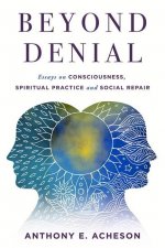 Beyond Denial: Essays on Consciousness, Spiritual Practice and Social Repair