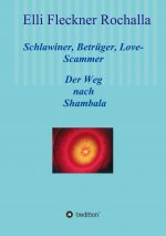Schlawiner, Betrüger, Love-Scammer