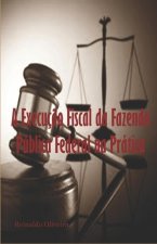 A Execuç?o Fiscal da Fazenda Pública Federal na Prática