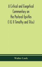 critical and exegetical commentary on the Pastoral epistles (I & II Timothy and Titus)