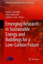 Emerging Research in Sustainable Energy and Buildings for a Low-Carbon Future