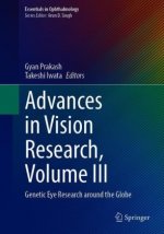 Advances in Vision Research, Volume III