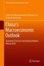 China's Macroeconomic Outlook