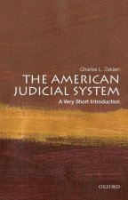American Judicial System: A Very Short Introduction