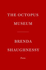 Octopus Museum