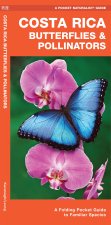 Costa Rica Butterflies & Pollinators: A Folding Pocket Guide to Familiar Species