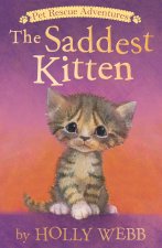 Saddest Kitten