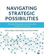 Navigating Strategic Possibilities