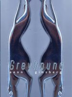 Greyhound