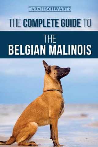 Complete Guide to the Belgian Malinois