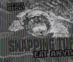 Snapping Turtles Eat Anything!