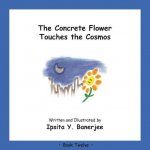 Concrete Flower Touches the Cosmos