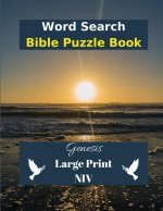 Word Search Bible Puzzle