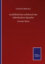 Ausfuhrliches Lehrbuch der hebraischen Sprache