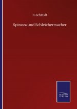 Spinoza und Schleichermacher