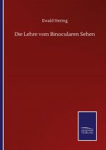 Lehre vom Binocularen Sehen