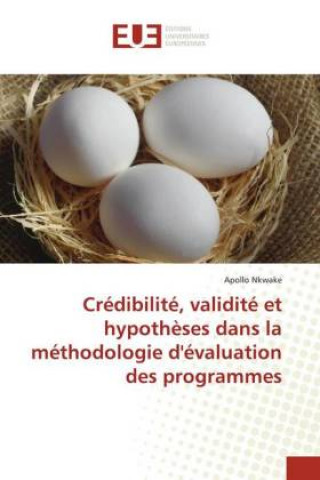 Credibilite, validite et hypotheses dans la methodologie d'evaluation des programmes