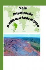 Vale: Privatizaç?o - A Saída ou o Fundo do Poço?