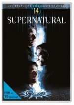 Supernatural - Staffel  14