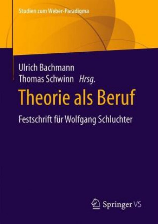 Theorie ALS Beruf