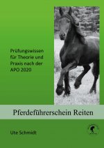 Pferdefuhrerschein Reiten