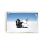 Gray Malin Llamas Porcelain Tray