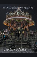 Little Christmas Magic in Cedar Springs