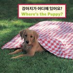 Kor/English Where's the Puppy