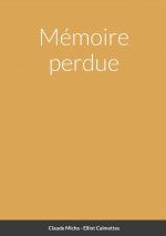 Memoire perdue