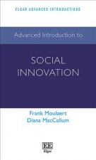 Advanced Introduction to Social Innovation