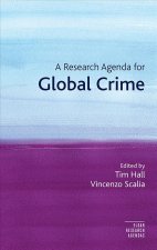 Research Agenda for Global Crime