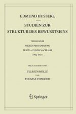 Studien zur Struktur des Bewusstseins