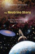Neutrino Story: One Tiny Particle's Grand Role in the Cosmos