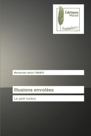 Illusions envolees