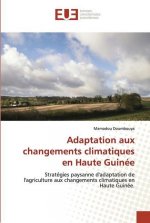 Adaptation aux changements climatiques en Haute Guinee