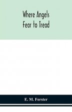 Where angels fear to tread