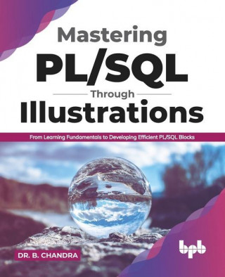 Mastering PL/SQL Through Illustrations: From Learning Fundamentals to Developing Efficient PL/SQL Blocks (English Edition)