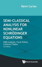 Semi-classical Analysis For Nonlinear Schrodinger Equations: Wkb Analysis, Focal Points, Coherent States