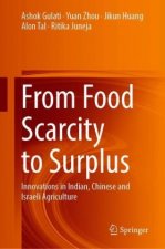 From Food Scarcity to Surplus