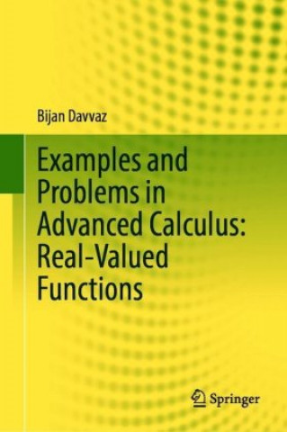 Examples and Problems in Advanced Calculus: Real-Valued Functions