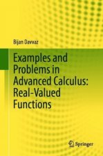Examples and Problems in Advanced Calculus: Real-Valued Functions