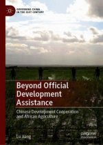 Beyond Official Development Assistance