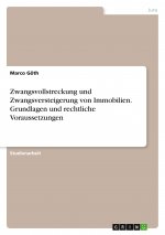 Zwangsvollstreckung und Zwangsversteigerung von Immobilien. Grundlagen und rechtliche Voraussetzungen