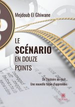 Scenario en douze points