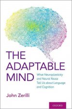 Adaptable Mind