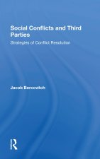 Social Conflicts and Third Parties