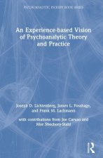 Experience-based Vision of Psychoanalytic Theory and Practice