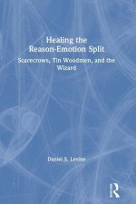 Healing the Reason-Emotion Split