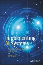 Implementing AI Systems