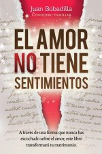 Amor No Tiene Sentimientos